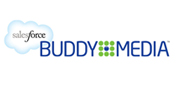 Sales Force Buddy Media Logo