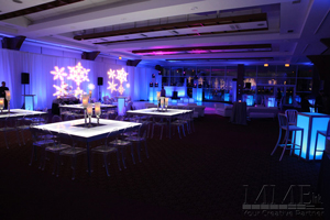 Winter Wonderland sweet 16 event design production