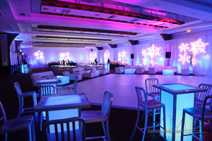 Winter Wonderland Sweet 16 Event Design