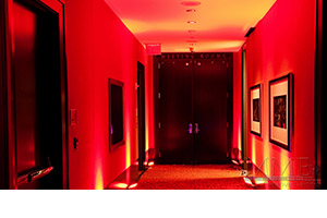 Ambient Wedding Lighting Design