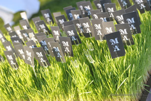 Eco friendly Wedding seating cards for outdoor wedding in New York