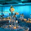 Ambient lighting and custom designed floral center pieces make your Wedding truly a day to remember