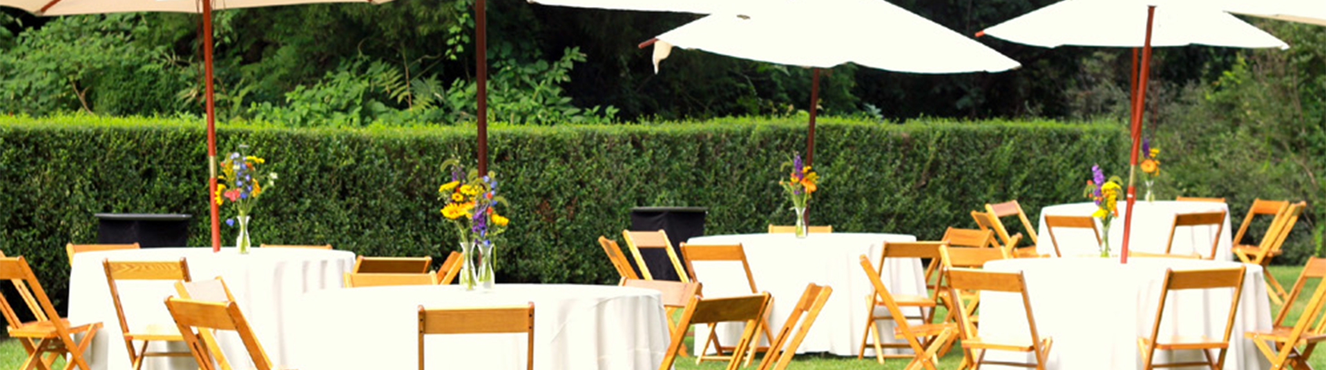Corporate Picnics